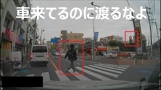 【ドラレコ映像】信号無視して渡るんだ！