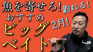 【大きいルアー】メリットだらけ！誰でも投げて釣れるビッグベイト６選！