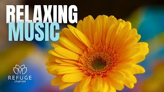 RELAXING MUSIC: Beautiful environment to help you relax!