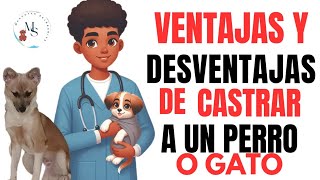 🚫VENTAJAS Y DESVENTAJAS DE CASTRAR A UN PERRO O A UNA PERRITA 🚫¿ES BUENO O MALO?