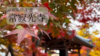 常寂光寺　京都　紅葉