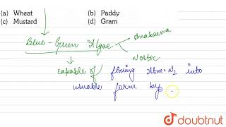 BGAis chiefly used as fertilizer in  | 12 | BIOENERGY, BIOFERTILIZERS AND BIOLOGICAL PEST CONTRO...