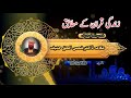 زندگی قران کے مطابق Allama Dr Shams Ul Haq Haneef