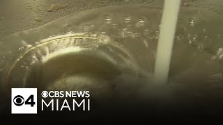 Study finds fluoride in drinking water boosts cognition, challenges claims of IQ decline