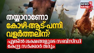 Ready for Chicken - Goat - Pig Farming? എങ്കിൽ ലക്ഷങ്ങളുടെ Subsidy തരും PM Modi Central Govt. | N18V