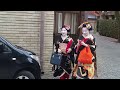 geisha walk to make courtesy new year s visits in kitano tenmangu district of kyoto 北野天満宮の東、上七軒の舞妓さん