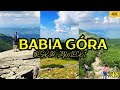 BABIA GÓRA z przełęczy krowiarki. BESKID ŻYWIECKI, Korona Gór Polski 18/28