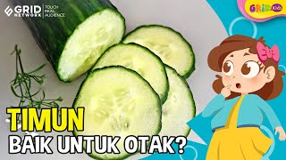 Fakta Menarik - Manfaat Timun yang Baik untuk Menjaga Kesehatan Otak dan Tubuh Manusia