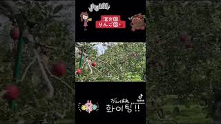 りんごが収穫できるまでリンゴ園の大変さ清光園🍎収穫前の作業Until the apples can be harvested The difficulty of the apple orchard