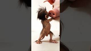 Cute baby monkey with cute pig #cute #love #monkey #pig #iralvideos