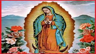 Música del manto de la Virgen de Guadalupe