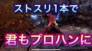 ［MHWI］ストームスリンガーで危険度3も楽々周回