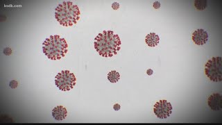 How does quarantine and self-isolation work?