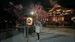 北野天満宮　梅苑ライトアップ