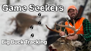 Tracking a big buck on snow