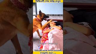 কুকুরটির সামনে || রাজু অসুস্থ হয়ে পড়ে রইল 😭Raju is sick~dogy#shortsfeed #facts #cartoon#tiktok