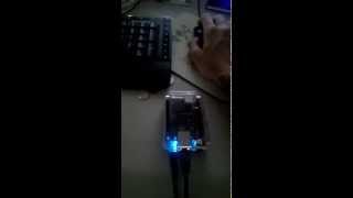 BeagleBone Black: Ruby and Python Test
