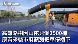 高雄路樹因山陀兒倒2500棵 康芮來襲市府籲別把車停樹下｜20241030 公視晚間新聞