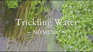 NO MUSIC 3 HRS - Gentle Water Sounds | Trickling Water | Water ASMR | Flowing Water