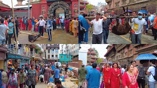 Maha Navami 9th Day of DASHAIN FESTIVAL- Kathmandu Walking Tour 2022 [4K🇳🇵]