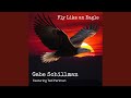 Fly Like an Eagle