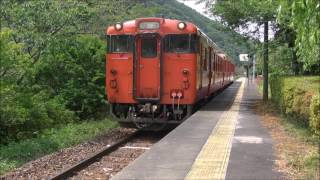 ＪＲ水郡線　2016/06/05　懐かしの水郡レトロ号　矢祭通過