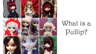 What is a Pullip \u0026 Overview of my Pullip Doll Collection for Adult Doll Collectors