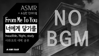 [BGM_X] 사와코의 새벽 공부✍ (ft.소심한 인어디블) | 너에게 닿기를/inaudible/ambience/君に届け/From Me to You/study/reading