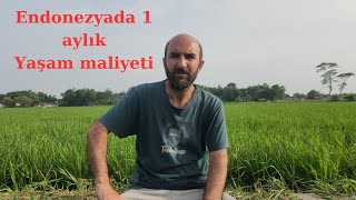 endonezyada 1 aylık yaşam maliyeti ne kadar