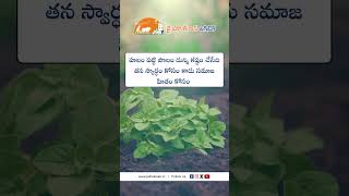 JHK Farmer Quote | Motivational quotes Telugu II Inspirational Quotes II Telugu Quotes #jhk