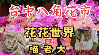 【旅遊】台中八角農園花花世界，銅板價直接帶回家！花市買花賞花卻遇上...喵老大？  #八角花市 #八角農園