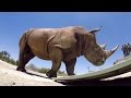 GoPro Cause: The Last of the Rhinos