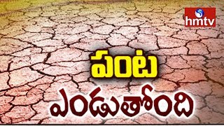 ఎండుతున్న పంట… రైతు కడుపు మంట | Nizamabad Farmers Face Problems Due To Lack Of Water | hmtv