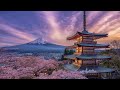 No Copyright Beautiful Japanese & Chinese music , So Relaxing