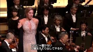 Lauren Fagan sings 'Ah, chi mi dice mai' (Don Giovanni)