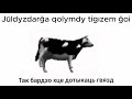 Polish cow in Kazakh language (latin script)