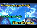 REVIEW PET IKAN PAUS  BESAR BANGET BISA SATU ADMIN PENUH EFEK IKAN - GAMEPLAY PET IKAN PAUS SUPER