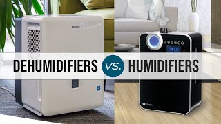 Dehumidifiers vs. Humidifiers | Sylvane