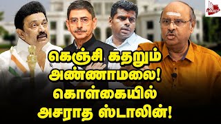 தலைவலி தரும் தமிழ் தெரியாத ஆளுநர்! போட்டுத் தாக்கும் Ramasubramanian | RN Ravi | MK Stalin | BJP