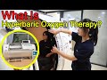 Top Choice for Therapy: Hyperbaric Oxygen Chamber Demo | Best Portable Features