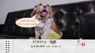 TV SPOT FOODWORK : เห็ดโคนน้อย โยเกิร์ต ควินัว ผงผักเคล