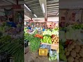 fresh vegetables in the market