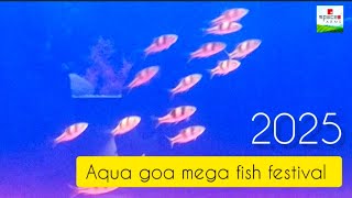 Aqua Goa Mega Fish Festival 2025