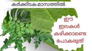 കർക്കിടക മാസത്തിൽ കഴിക്കേണ്ട 10 ഇലകൾ ☘️🍀🍃🌿