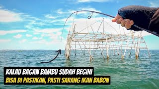 Mancing di Sarang ikan Paling Potensial, Dijamin Kalian Pasti Panen Strike