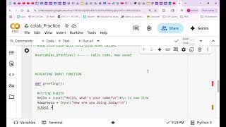 Google Colab- Input Function Intro