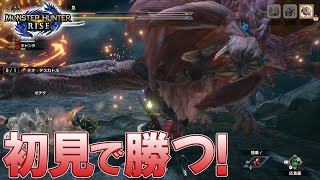 【モンハンライズ】テオ・テスカトルに初見で挑戦！【MHRise】