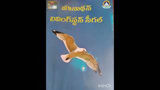 జోనాథన్ లివింగ్ స్టోన్ సీగల్ బుక్ day-5 Jonathan Livingston seagull book day-5