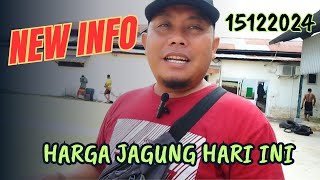 INFO HARGA JAGUNG HARI INI