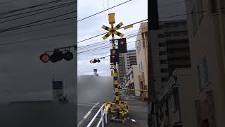 #railroadcrossing #しんはたふみきり #ふみきり #踏切 #電車 #railway #train #station #名鉄各務原線 岐阜7号踏切